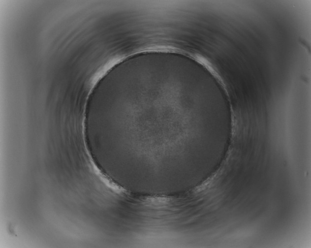 X0000101711237200807101557