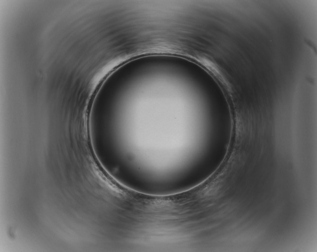 X0000101711238200807101557