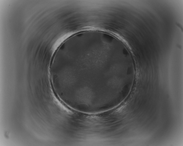 X0000101711239200807101557