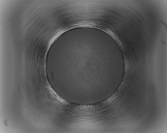 X0000101711240200807101557