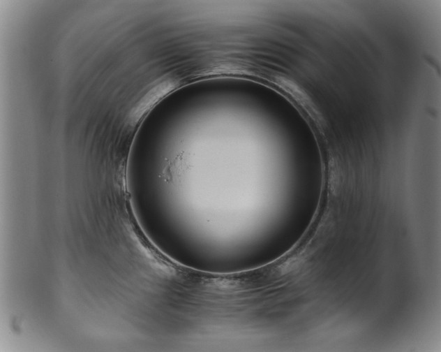 X0000101711241200807101557