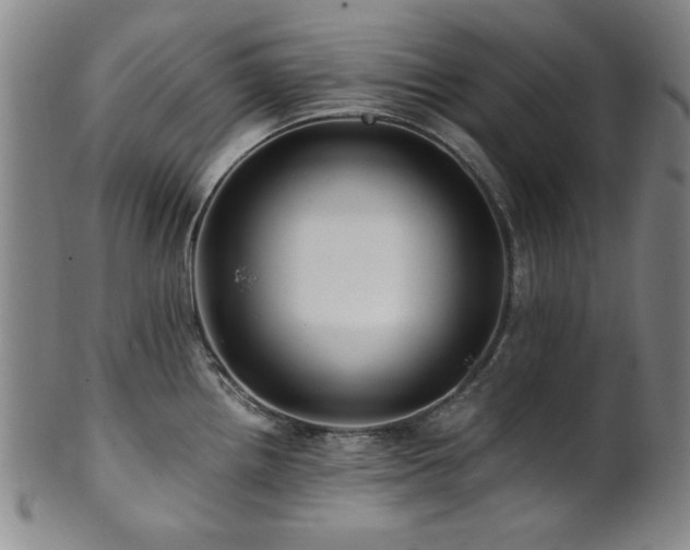 X0000101711242200807101557