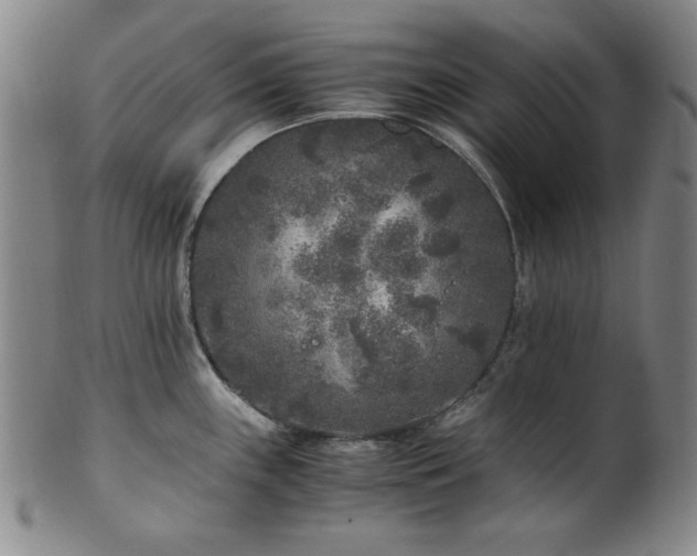 X0000101711243200807101557