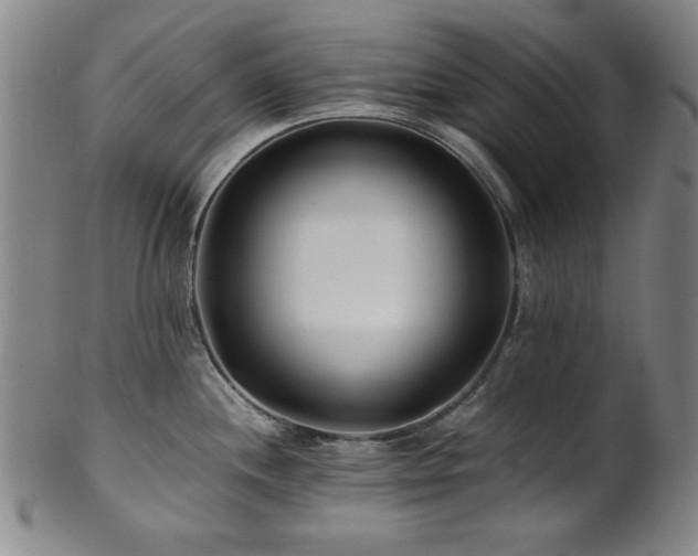 X0000101711244200807101557