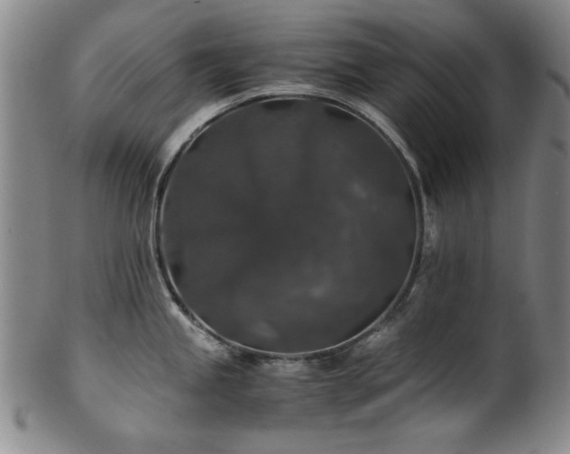 X0000101711245200807101557