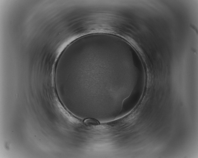 X0000101711246200807101557