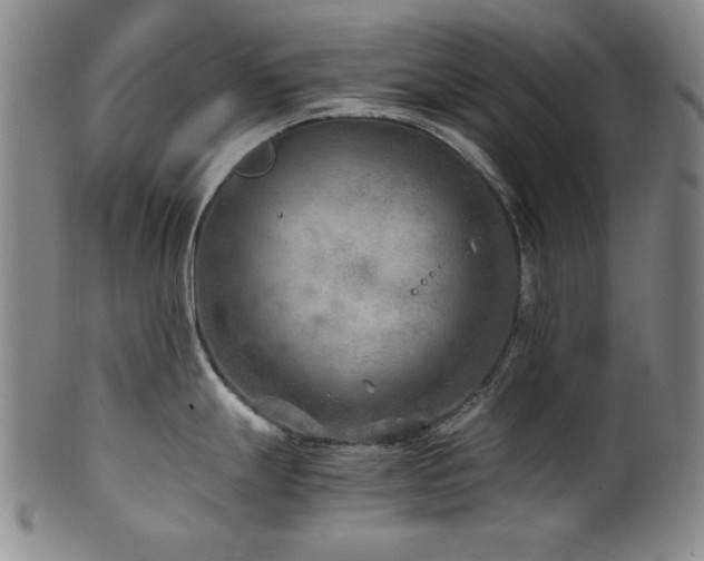 X0000101711247200807101557