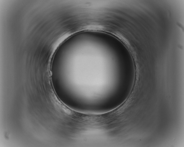 X0000101711248200807101557