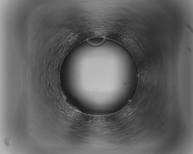 X0000101711249200807101556