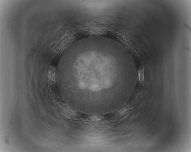 X0000101711251200807101556