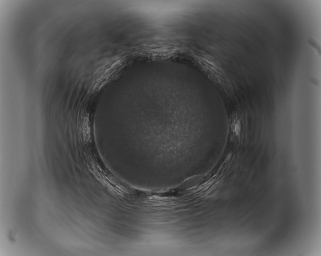 X0000101711252200807101556