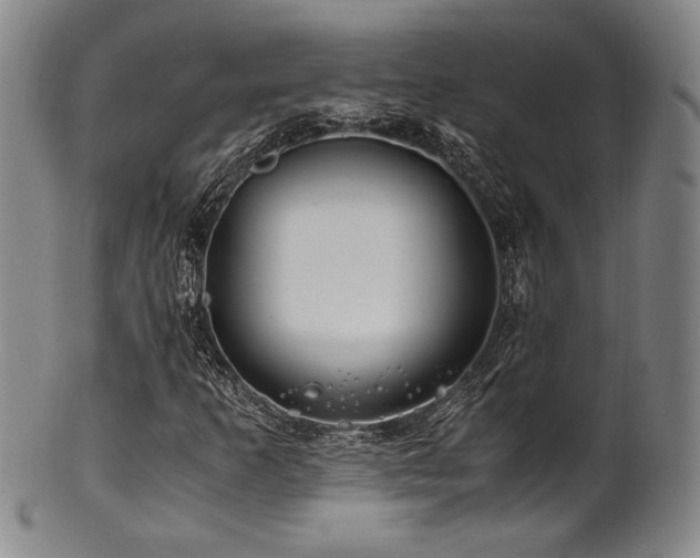 X0000101711253200807101556