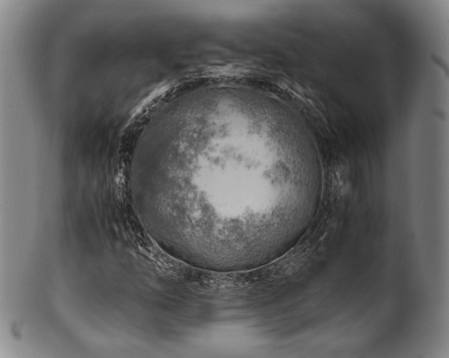 X0000101711254200807101556