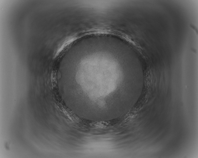 X0000101711255200807101556