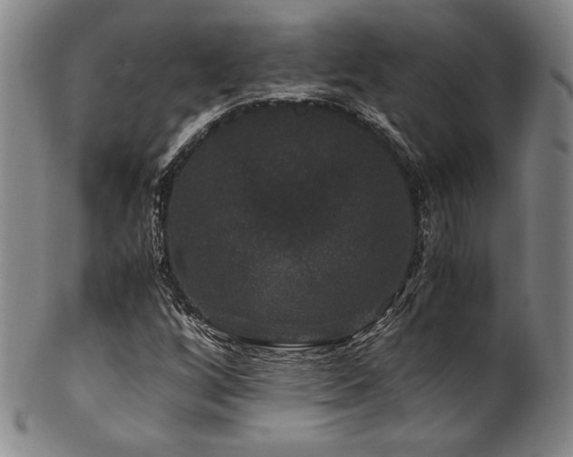 X0000101711256200807101556