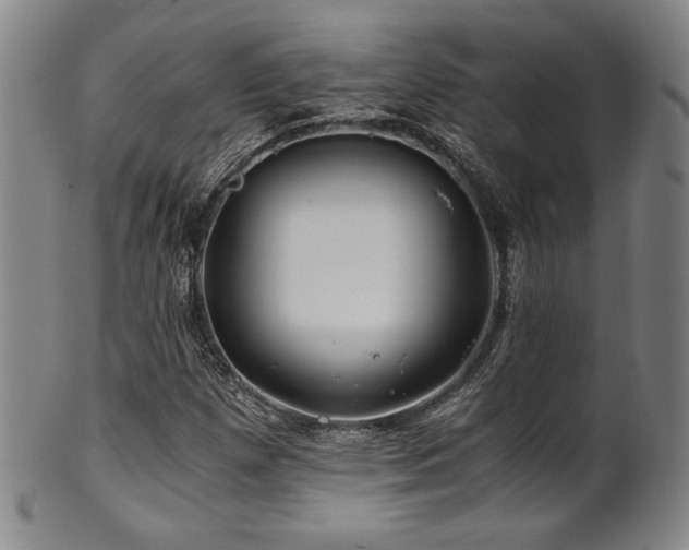 X0000101711257200807101556