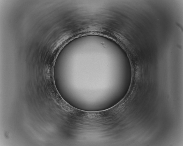 X0000101711258200807101556
