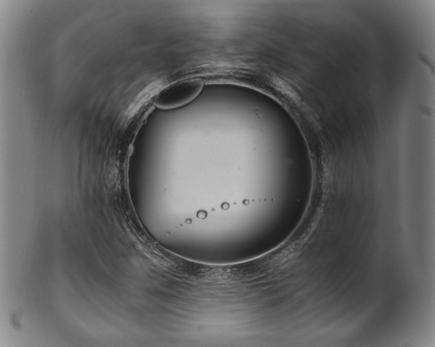X0000101711259200807101556