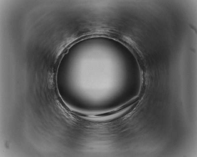 X0000101711260200807101556