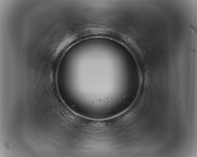 X0000101711261200807101556