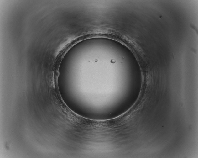 X0000101711262200807101556