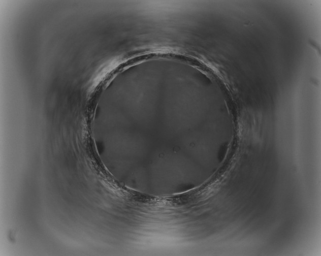 X0000101711263200807101556