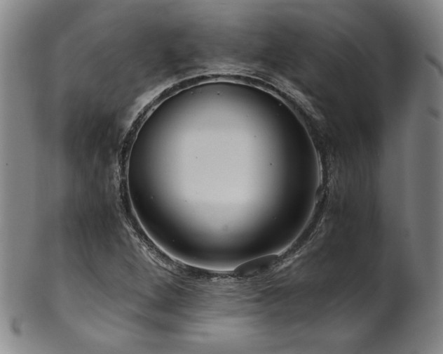 X0000101711264200807101556