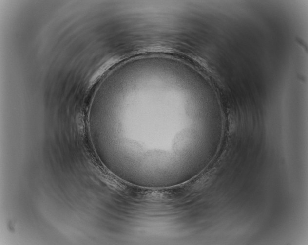 X0000101711266200807101556