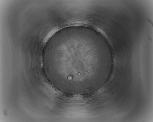 X0000101711267200807101556