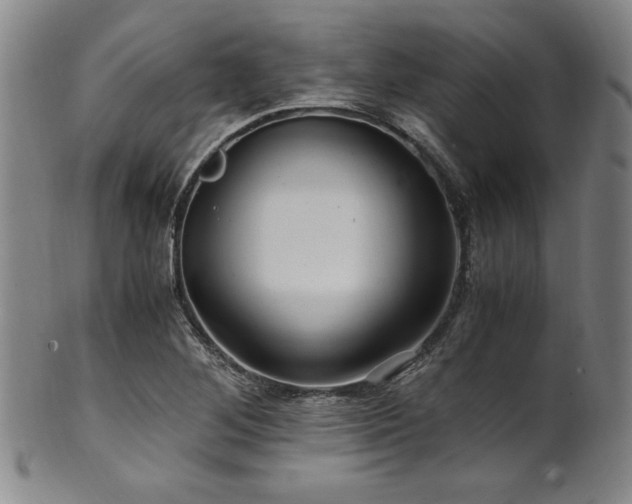 X0000101711268200807101556