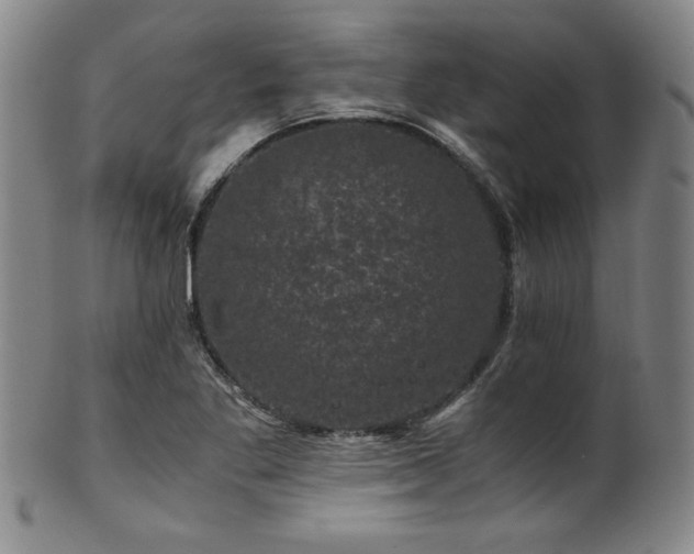 X0000101711269200807101556