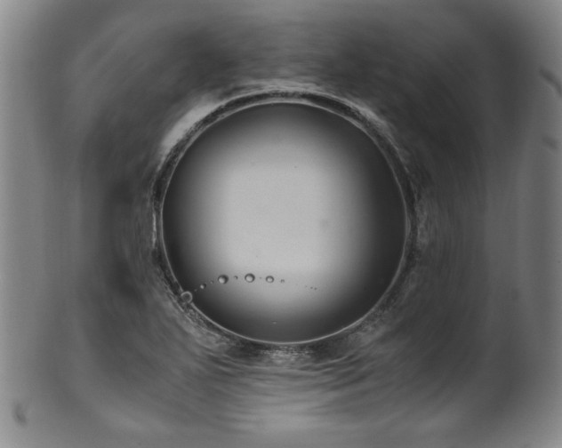 X0000101711271200807101556