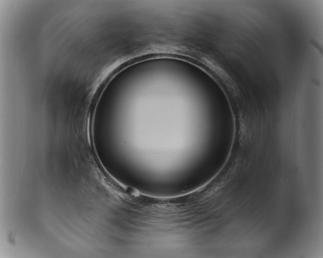 X0000101711272200807101556