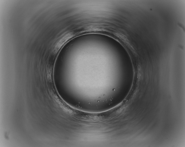 X0000101711273200807101555