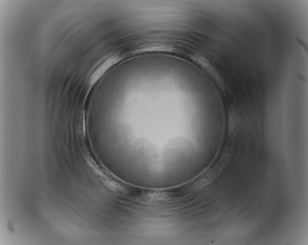 X0000101711274200807101555