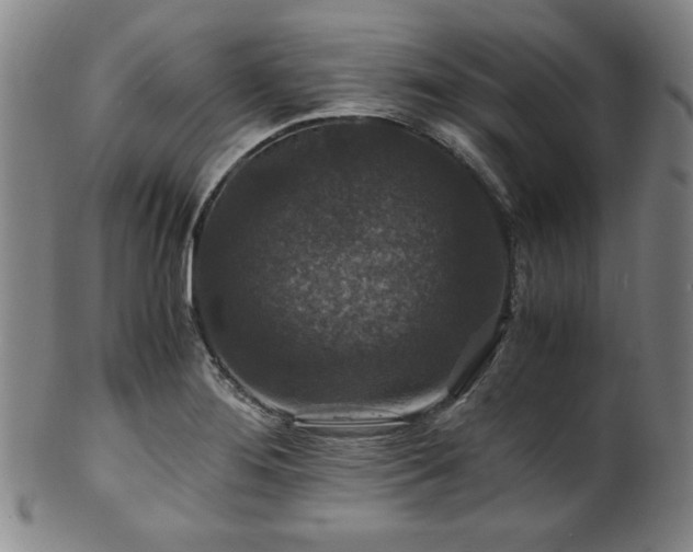 X0000101711276200807101555