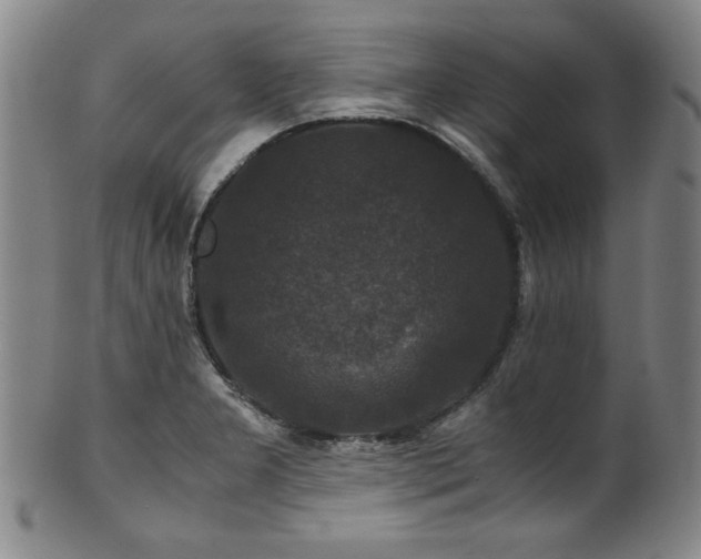 X0000101711277200807101555