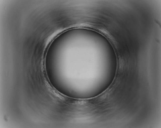 X0000101711278200807101555
