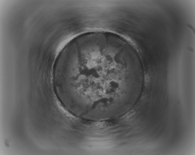 X0000101711279200807101555