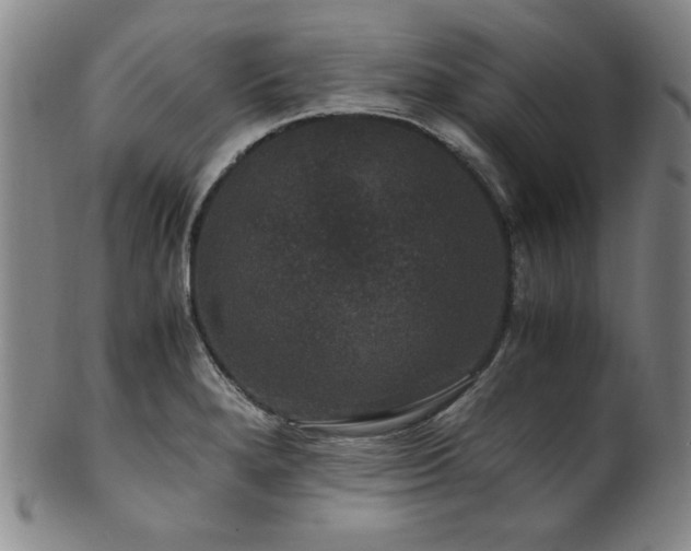 X0000101711280200807101555