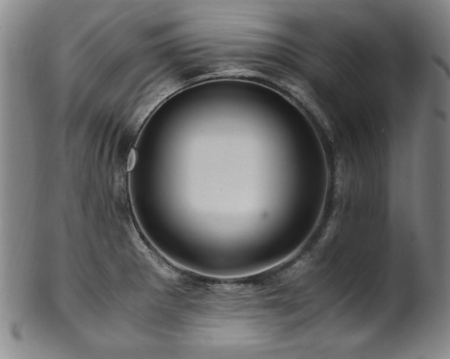 X0000101711281200807101555
