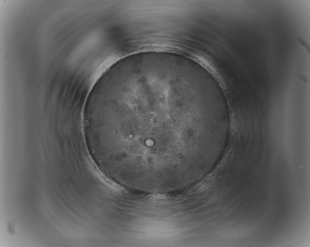 X0000101711283200807101555