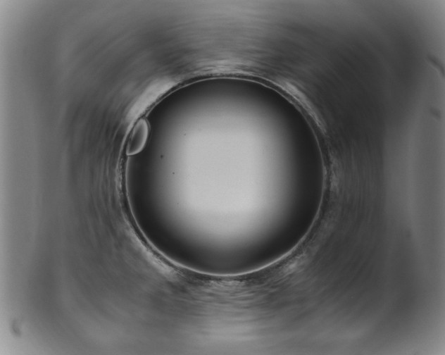 X0000101711285200807101555