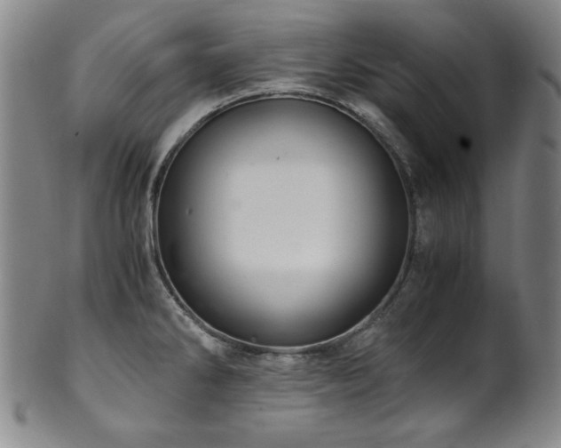 X0000101711286200807101555