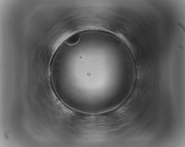 X0000101711287200807101555