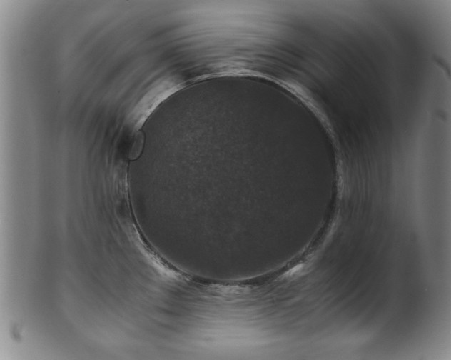 X0000101711289200807101555