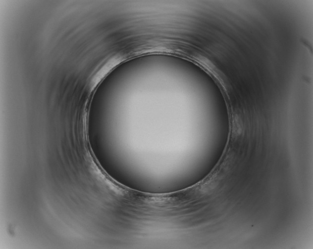 X0000101711290200807101555