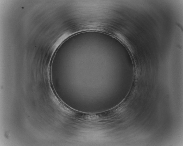 X0000101711291200807101555