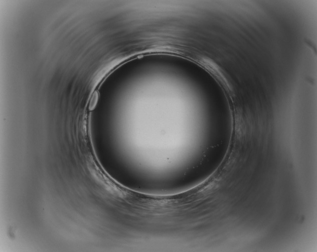 X0000101711292200807101555