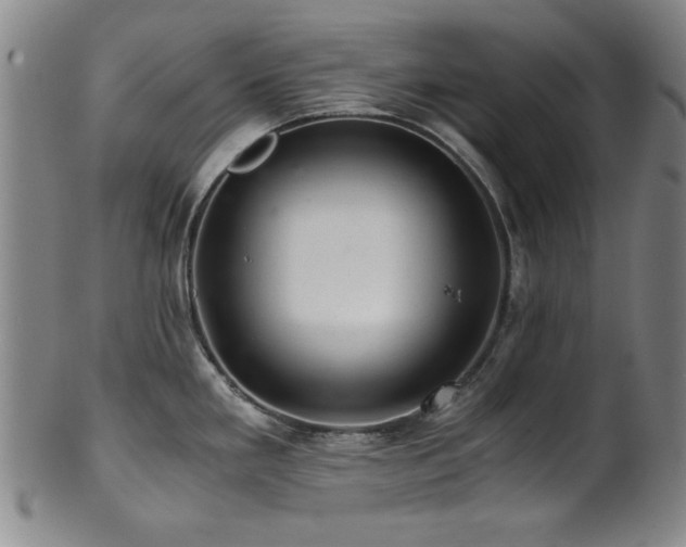 X0000101711293200807101555